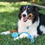 Pacific Pups Products supporting pacificpuprescue.com dog rope toys for aggressive chewers-set of 11 nearly indestructible dog toys-bonus giraffe rope toys-benefits non profit dog rescue.