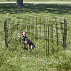 New World Pet Products Foldable Metal Exercise Pen & Pet Playpen