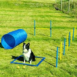 Sowsun Dog Agility Equipment, Outdoor Games Exercise Training Obstacle Course Hurdles for Jumping Practice, Agility Starter Kit with Carrying Case