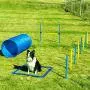 Sowsun Dog Agility Equipment, Outdoor Games Exercise Training Obstacle Course Hurdles for Jumping Practice, Agility Starter Kit with Carrying Case Sowsun Dog Agility Equipment, Outdoor Games Exercise Training Obstacle Course Hurdles for Jumping Practice, Agility Starter Kit with Carrying Case
