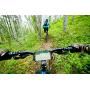 Cllena Bike Phone Mount. Motorcycle, Bicycle Cell Phone Holder for iPhone Samsung Galaxy Edge Nexus Nokia LG and Any Smart Phone with 4-5.5 Inch Screens (Black)
