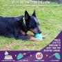 Chew King Premium Treat Dog Toy