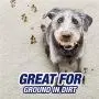 Resolve Pet High Traffic Carpet Foam, 88 oz (4 Cans x 22 oz), Cleans Freshens Softens & Removes Stains Resolve Pet High Traffic Carpet Foam, 88 oz (4 Cans x 22 oz), Cleans Freshens Softens & Removes Stains