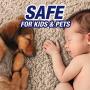 Resolve Pet Carpet Spot & Stain Remover Spray, 22oz (Pack of 2)