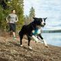 RUFFWEAR 3050-815S Front Range, Everyday No Pull Dog Harness with Front Clip, Trail Running, Walking, Hiking, All-Day Wear, Campfire Orange, Small