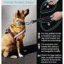 habbipet 6FT Leash for Medium Dogs Up to 150 Ibs,Reflective Bungee Shock Absorbing Dog Leash with Car Seat Belt Buckle, 2 Soft Padded Traffic Handles for Training Walking Running and Extra Control habbipet 6FT Leash for Medium Dogs Up to 150 Ibs,Reflective Bungee Shock Absorbing Dog Leash with Car Seat Belt Buckle, 2 Soft Padded Traffic Handles for Training Walking Running and Extra Control
