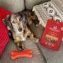 Stella & Chewys Freeze-Dried Raw Single Ingredient Treats