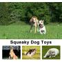LEGEND SANDY 14 Pack Dog Squeaky Toys Cute Stuffed Plush Fruits Snacks and Vegetables Dog Toys for Puppy Small Medium Dog Pets