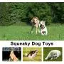 LEGEND SANDY 14 Pack Dog Squeaky Toys Cute Stuffed Plush Fruits Snacks and Vegetables Dog Toys for Puppy Small Medium Dog Pets