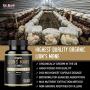 Organic Lions Mane Mushroom Capsules - Maximum Dosage + Absorption Enhancer - Nootropic Brain Supplement and Immune Support (100% Pure Lions Mane Extract)