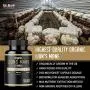 Organic Lions Mane Mushroom Capsules - Maximum Dosage + Absorption Enhancer - Nootropic Brain Supplement and Immune Support (100% Pure Lions Mane Extract)