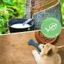 LAIKA Dog chew Toy 3 pcs with Three Flavors of Non-Toxic Natural Rubber, Clean Teeth, Avoid Boredom and Keep The Dog Active Suitable for All Types of Dogs