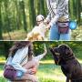 PetAmi Dog Treat Pouch | Dog Training Pouch Bag with Waist Shoulder Strap, Poop Bag Dispenser and Collapsible Bowl | Treat Training Bag for Treats, Kibbles, Pet Toys | 3 Ways to Wear