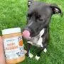 BUDDY BUDDER Bark Bistro Company, Ruff Ruff Raw + Pumpkin Pup, Dog Peanut Butter, Healthy Dog Treat, 100% Natural Dog Peanut Butter - Made in USA (Set of 2/ 16oz Jars) BUDDY BUDDER Bark Bistro Company, Ruff Ruff Raw + Pumpkin Pup, Dog Peanut Butter, Healthy Dog Treat, 100% Natural Dog Peanut Butter - Made in USA (Set of 2/ 16oz Jars)