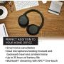 Sony Noise Cancelling Headphones WHCH710N: Wireless Bluetooth Over The Ear Headset with Mic for Phone-Call, Black (WHCH710N/B)