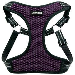 Voyager Step-In Flex Dog Harness - All Weather Mesh, Step In Adjustable Harness for Small and Medium Dogs by Best Pet Supplies