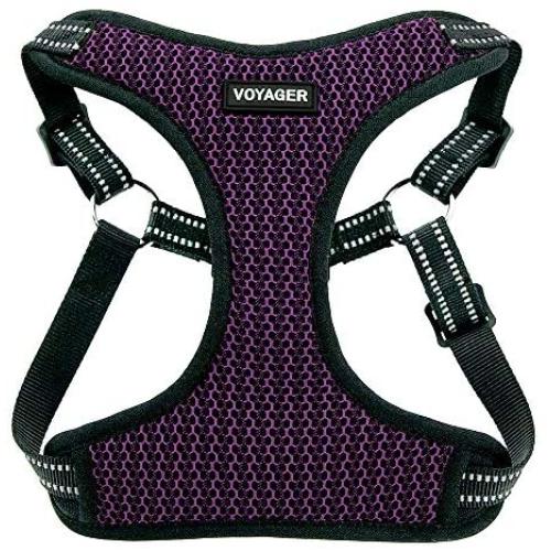 Voyager Step-In Flex Dog Harness - All Weather Mesh, Step In Adjustable Harness for Small and Medium Dogs by Best Pet Supplies
