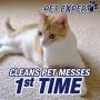Resolve Pet High Traffic Carpet Foam, 88 oz (4 Cans x 22 oz), Cleans Freshens Softens & Removes Stains