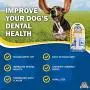 Bullibone Nylon Dog Chew Toy Nylon Bone - Improves Dental Hygiene, Easy to Grip Bottom, and Permeated with Flavor