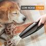 Handheld Vacuum Cordless 6KPA Hand Vacuum Cordless Rechargeable Small Car Vacuum Cleaner with High Power, Wet/Dry Portable Vacuum Hand Vac Cyclonic Suction with Quick Charge (Black)