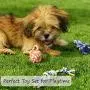 Otterly Pets Small Puppy Dog Rope Toys for Play Chew Teething and Boredom - for Smaller Dogs (6-Pack)