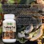 Premium Organic Turkey Tail Mushroom Capsules by Parker Naturals Supports Immune System Health. Natures Original Superfood. 120 Capsules …