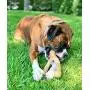 Pet Qwerks Wish BarkBone - For Aggressive Chewers| Made in USA
