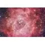 Orion 8297 8-Inch f/3.9 Newtonian Astrograph Reflector Telescope Orion 8297 8-Inch f/3.9 Newtonian Astrograph Reflector Telescope