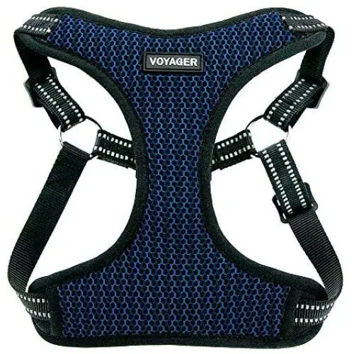 Voyager Step-In Flex Dog Harness - All Weather Mesh, Step In Adjustable Harness for Small and Medium Dogs by Best Pet Supplies Voyager Step-In Flex Dog Harness - All Weather Mesh, Step In Adjustable Harness for Small and Medium Dogs by Best Pet Supplies