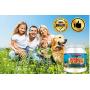 Colostrum Powder 8 oz. Pet, 100% Whole 1st Milking