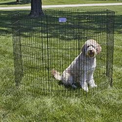 MidWest Homes for Pets Folding Metal Exercise Pen/Pet Playpen