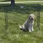 MidWest Homes for Pets Folding Metal Exercise Pen/Pet Playpen MidWest Homes for Pets Folding Metal Exercise Pen/Pet Playpen