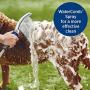 Waterpik PPR-252E Pet Wand Pro Shower Sprayer Attachment, 1.8 GPM, for Fast and Easy at Home Dog Cleaning, Blue/Grey