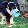 Pacific Pups Products supporting pacificpuprescue.com dog rope toys for aggressive chewers-set of 11 nearly indestructible dog toys-bonus giraffe rope toys-benefits non profit dog rescue.