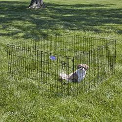 MidWest Homes for Pets Folding Metal Exercise Pen/Pet Playpen