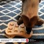 SPOT Ethical Pet Interactive Seek-A-Treat Shuffle Bone Toy Puzzle That Will Improve Your Dogs IQ, Specially Designed for Training Treats