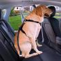 iBuddy Dog Seat Belts for Cars of Small/Medium/Large Dogs,Adjustable Pet Seat Belt for Dog Harness with Dual Safe Bolt Hook and Elastic Durable Nylon Dog Safety Belt for Car
