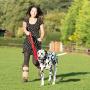 Halti Training Lead for Dogs Halti Training Lead for Dogs