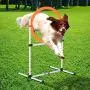 PawHut 2-in-1 Dog Obstacle Training Agility Equipment Tire Jump Ring/Hurdle Bar PawHut 2-in-1 Dog Obstacle Training Agility Equipment Tire Jump Ring/Hurdle Bar