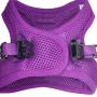 Downtown Pet Supply No Pull, Step in Adjustable Dog Harness, Easy to Put on Small, Medium and Large Dogs
