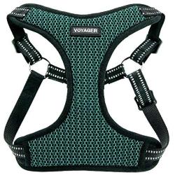 Voyager Step-In Flex Dog Harness - All Weather Mesh, Step In Adjustable Harness for Small and Medium Dogs by Best Pet Supplies