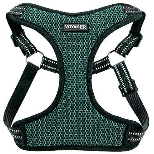 Voyager Step-In Flex Dog Harness - All Weather Mesh, Step In Adjustable Harness for Small and Medium Dogs by Best Pet Supplies