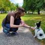 PET N PET Dog Treat Training Pouch-3 Ways to Wear Dog Treat Pouch with Built-in Poop Bag Dispenser-(3 Rolls Rainbow Poop Bags Included)