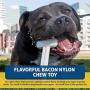 Bullibone Nylon Dog Chew Toy Nylon Bone - Improves Dental Hygiene, Easy to Grip Bottom, and Permeated with Flavor