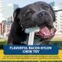 Bullibone Nylon Dog Chew Toy Nylon Bone - Improves Dental Hygiene, Easy to Grip Bottom, and Permeated with Flavor