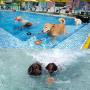 Freezable Dog Chew Toys for Teething Dogs - Lifetime Replacement Guarantee - All Natural Rubber Puppy Teether Cooling Toys for Small/Medium Puppies, Perfect Training Pool Floating Chew Ring Toys Freezable Dog Chew Toys for Teething Dogs - Lifetime Replacement Guarantee - All Natural Rubber Puppy Teether Cooling Toys for Small/Medium Puppies, Perfect Training Pool Floating Chew Ring Toys