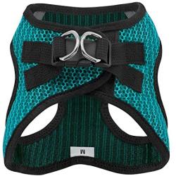 Voyager Step-in Air Dog Harness - All Weather Mesh, Step in Vest Harness for Small and Medium Dogs by Best Pet Supplies