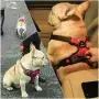 FUNFLOWERS Dog Harness No-Pull Adjustable Pet Vest Durable Polyester Material Dog Chest Strap with Reflective Strips Easy Control Training Harness for Small Medium Large Dog, 4 Colors FUNFLOWERS Dog Harness No-Pull Adjustable Pet Vest Durable Polyester Material Dog Chest Strap with Reflective Strips Easy Control Training Harness for Small Medium Large Dog, 4 Colors