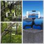 Premium Phone Tripod, Flexible Tripod Compatible with Phone/Android Samsung Mini Tripod Stand Holder for Camera Mobile Cell Phone
