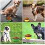 4 Pack Silicone Collapsible Dog Bowls,Portable and Foldable Pet Travel Bowls for Dogs Cats Feeding Water Bowl Dish,with 4 Carabiners Set